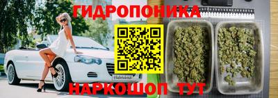 тгк Кохма