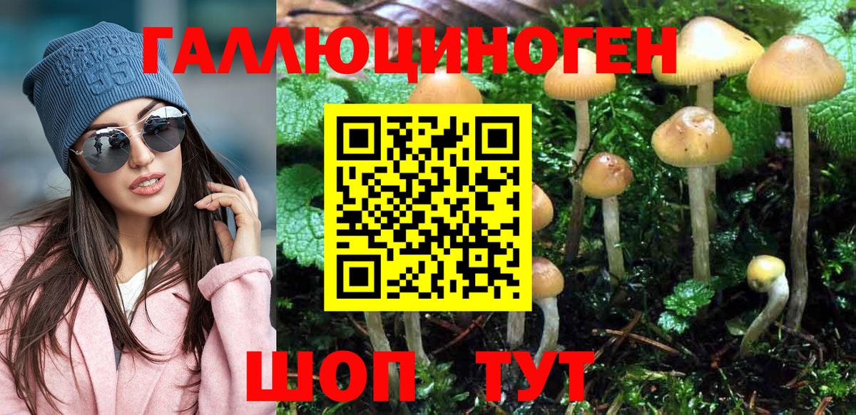 Галлюциногенные грибы GOLDEN TEACHER  Вход с VPN  Галлюциногенные грибы Psilocybe  Гудермес 